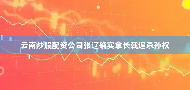 云南炒股配资公司张辽确实拿长戟追杀孙权